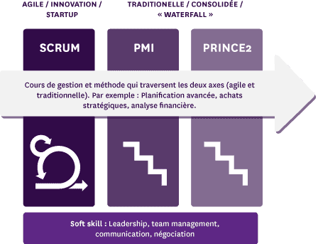 Infographie pour la formation MSc Management de Projet de NEOMA